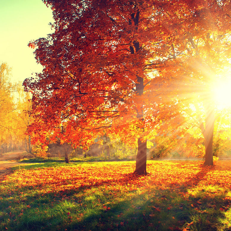 Revive Cafes Are Temporarily Closed! 6 Ways To Use Self-Isolation To Become A Better You!